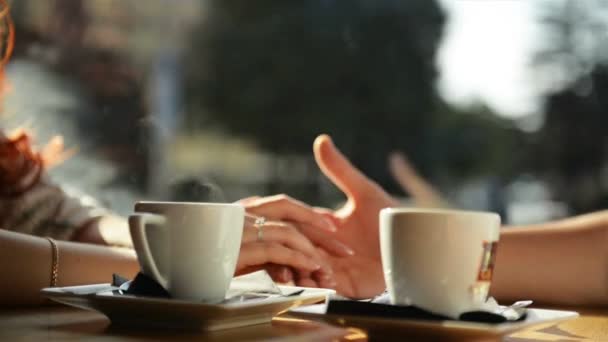 Happy Young Couple Holding Hands. They Enjoy Spending Time Together. — Stock Video
