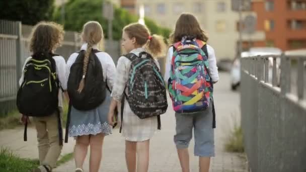 Crianças em idade escolar, meninos e meninas, vão para a escola com mochilas. Vista traseira. De volta à escola, dia do conhecimento — Vídeo de Stock