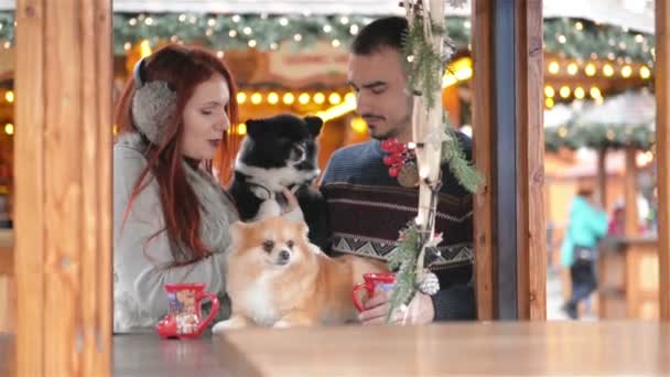 Νεαρό ζευγάρι Έχοντας διασκέδαση σε εξωτερικούς χώρους στο χρόνο Χριστουγέννων. Πίνοντας ζεστό κρασί και κρατώντας Cutie σκυλιά. Χριστούγεννα του χρόνου. — Αρχείο Βίντεο