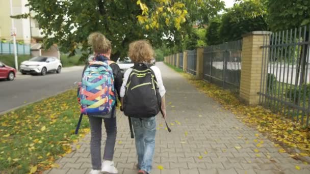 Dwóch przyjaciół z plecakami idzie do szkoły na ulicach miasta mijając samochody. Siostra z bratem z powrotem do szkoły. Słońce jest na tle. — Wideo stockowe