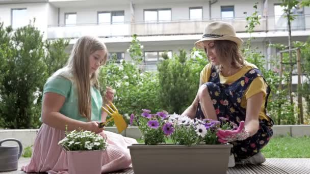 Madre e hija adolescente plantan flores en maceta en el patio de su casa. Primavera, buen humor . — Vídeos de Stock
