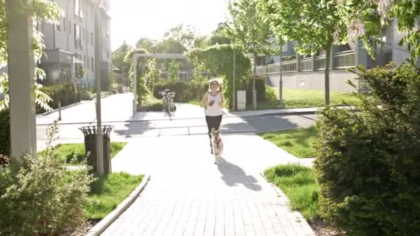 Femme athlétique jogging avec son chien. Mode de vie sain . — Video