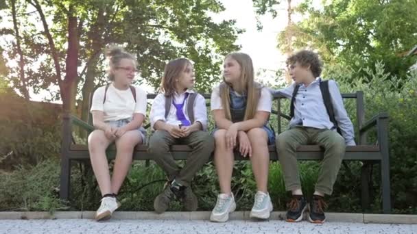 Classmates. School friendship. Funny company. Back to school. — Stock Video