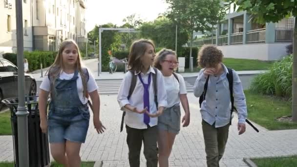 Amistades escolares. Compañeros de clase. Un grupo de adolescentes regresa de la escuela. Los amigos están hablando de algo . — Vídeos de Stock