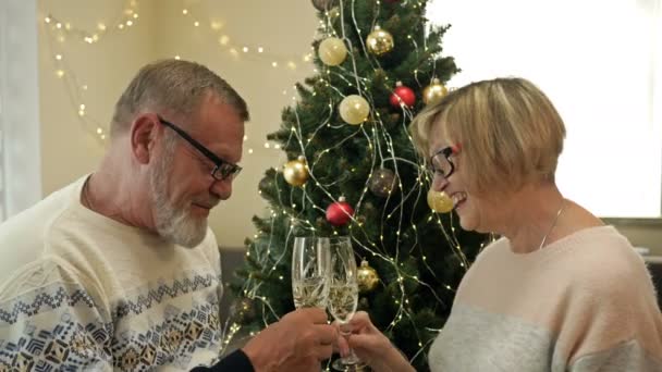 Starý pár se šampaňským slaví Vánoce u stromu. Veselé Vánoce. Šťastný nový rok. — Stock video