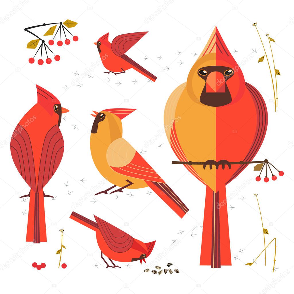 Birdwatching, bird feeding icon set. Red Northern cardinal, comic flat cartoon. Winter birds of backyard, city garden. Minimalism simplicity design. Wildlife scavenger banner sign. Vector illustration