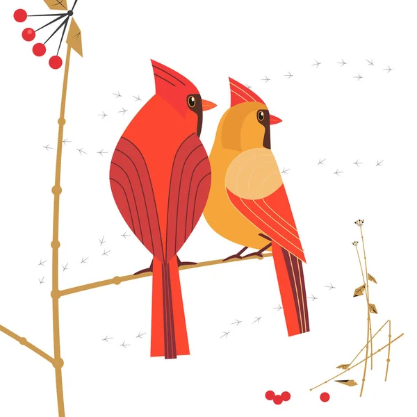 Birdwatching Icon Red Northern Cardinal Couple Comic Flat Cartoon Winter — Stock Vector