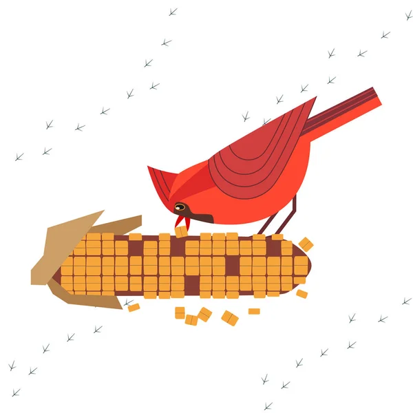 可爱的红色北部主要鸟哺养由玉米种子海报 漫画平卡通 简约简约设计 冬季后院的鸟 模板向量清理观鸟卡片背景 — 图库矢量图片