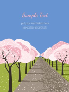 El çekilmiş çiçek açan sakura sokak