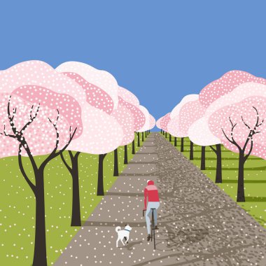 El çekilmiş çiçek açan sakura sokak