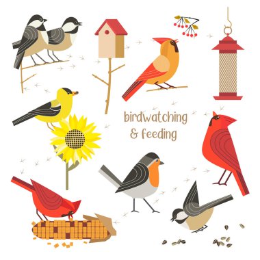 Bird watching feeding vector icons collection clipart