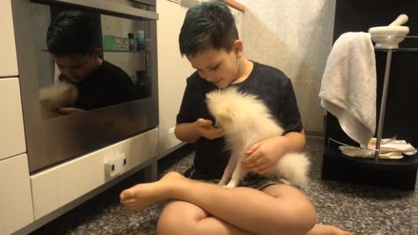 Chlapec s roztomilým štěňátkem na podlaze v kuchyni 4k — Stock video