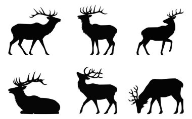 Altı Görkemli Geyik Silüeti: Zarif Siyah ve Beyaz Vahşi Yaşam Vektörü Resimleri