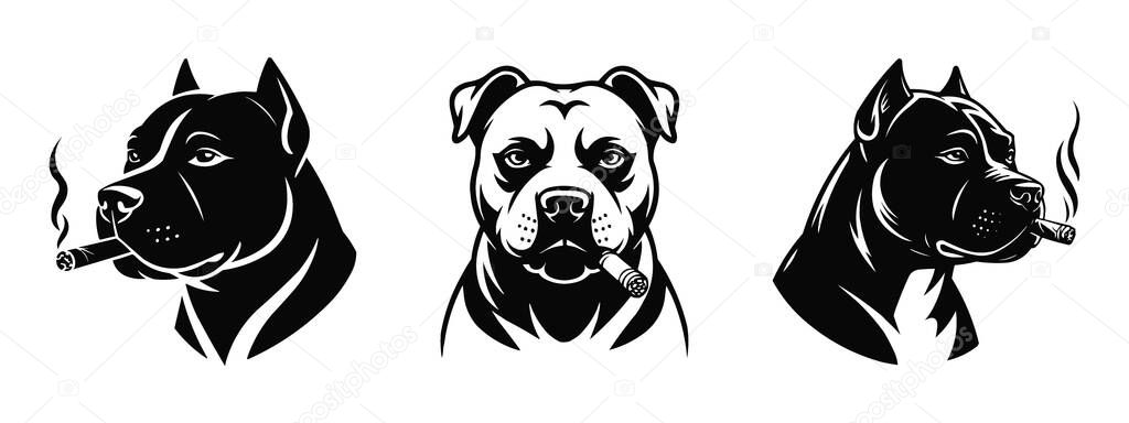 Dynamic black and white artistic rendering of an American Staffordshire Terrier dog. Features the dog in profile left, facing forward, and profile right, each with a cigar. Bold lines and expressive detail.