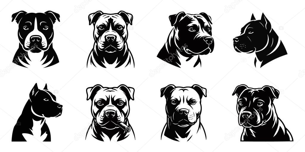 A striking collection showcasing eight distinct head portraits of American Staffordshire Terriers. This compilation offers various angles and expressions, highlighting the breed's distinctive features and powerful presence, rendered in high contrast.