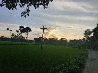 A serene sunset paints the sky with warm colors over a lush green field, silhouetted trees, and a utility pole.
