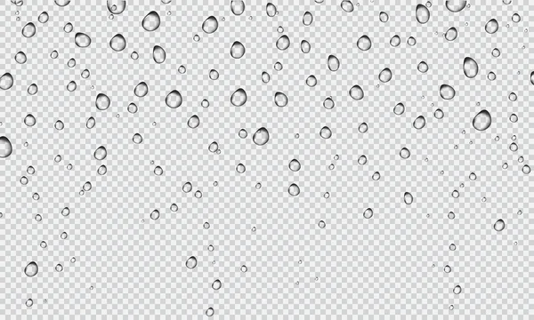 Water Drops Realistic Isolated Transparent Background Vector Illustration — Stock Vector