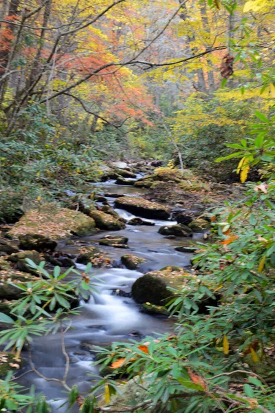 Маленький Ручей Окруженный Желтыми Листьями Осени — стоковое фото