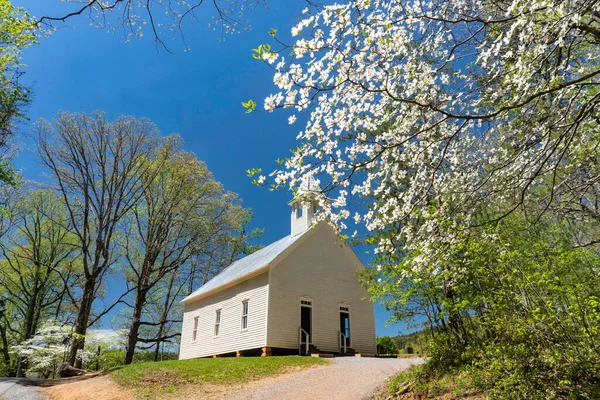 Pequeña Casa Iglesia Blanca Cades Cove Rodeada Flores Dogwood —  Fotos de Stock