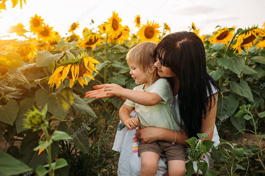 Mom and son are playing in the field of sunflowers at sunset