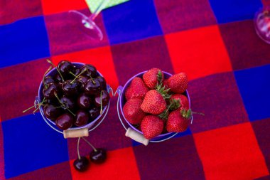 Kiraz ve çilek bir kova. Piknikte bekarlığa veda partisi
