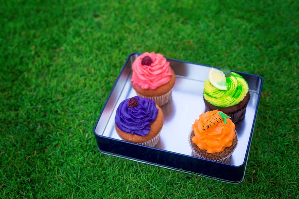Delicious, beautiful cakes in a box. Picnic at bachelorette hen party