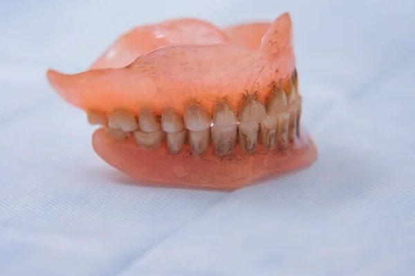 Broken Acrylic Denture Dental Phantom Selective Focus Photo — Stock Photo, Image