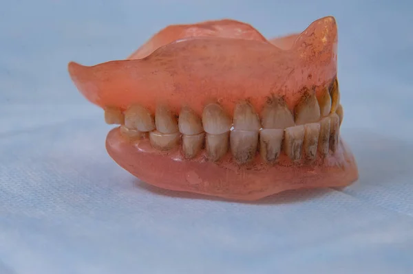 Broken acrylic denture. Dental phantom. Selective focus photo.