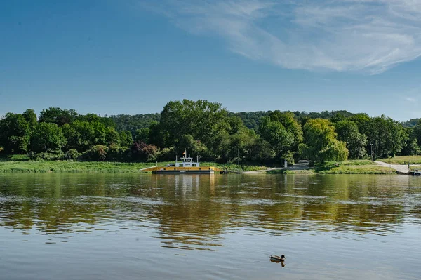 Dresden Germamy Juni 2019 Sachsen Och Populär Färjetrafik Till Staden — Stockfoto