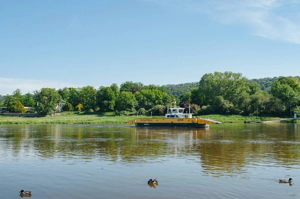 Dresden Germamy Juni 2019 Sachsen Och Populär Färjetrafik Till Staden — Stockfoto