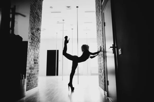Woman ballet dancer in black body posing in ballet studio. The artistic dance concept