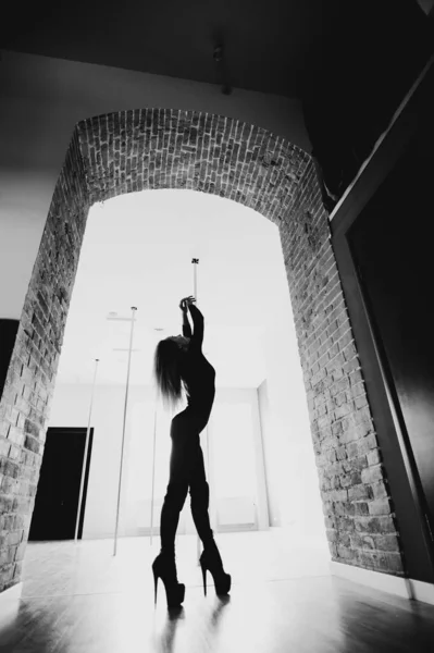 Woman ballet dancer in black body posing in ballet studio. The artistic dance concept