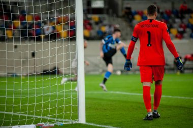 DÜKSELDORF, GERMANY - 17 AUGust 2020: UEFA Avrupa Ligi Shakhtar 'ın Düsseldorf' taki Esprit Arena spor kompleksi Inter 'e karşı oynadığı futbol maçı sırasında futbolcu Samir Handanoviç. 