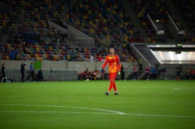 DÜKSELDORF, GERMANY - 17 AUGust 2020: UEFA Avrupa Ligi Shakhtar 'ın Düsseldorf' taki Esprit Arena spor kompleksi Inter 'e karşı oynadığı futbol maçı sırasında futbolcu Samir Handanoviç. 