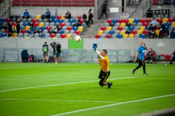 Dusseldorf Alemanha Agosto 2020 Jogador Futebol Samir Handanovic Durando Jogo — Fotografia de Stock