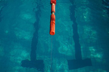 Spor yüzme havuzu. Yüzücüler için bölünmüş yüzme yolları, 