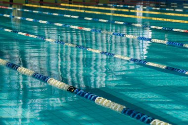 Spor yüzme havuzu. Yüzücüler için bölünmüş yüzme yolları, 