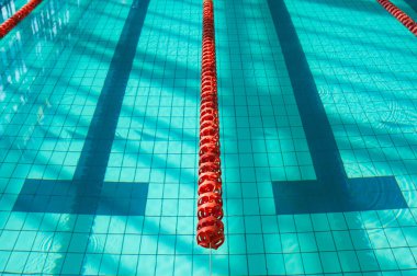 Spor yüzme havuzu. Yüzücüler için bölünmüş yüzme yolları, 
