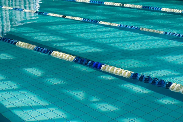 体育游泳池 分设泳道供游泳人士使用 — 图库照片