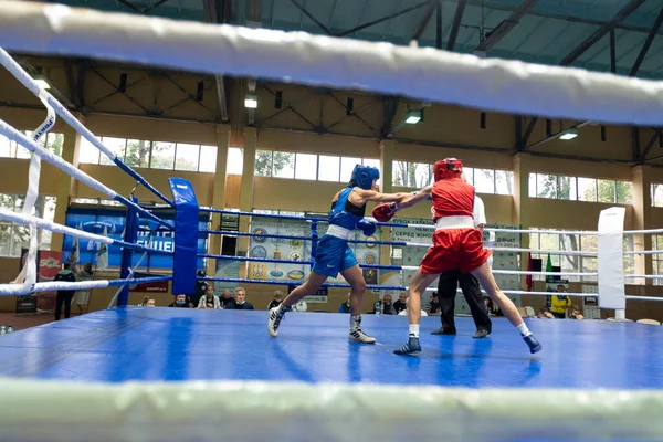 Kharkiv Ucrania Octubre 2020 Boxeadoras Femeninas Lucha Ring Durante Copa —  Fotos de Stock