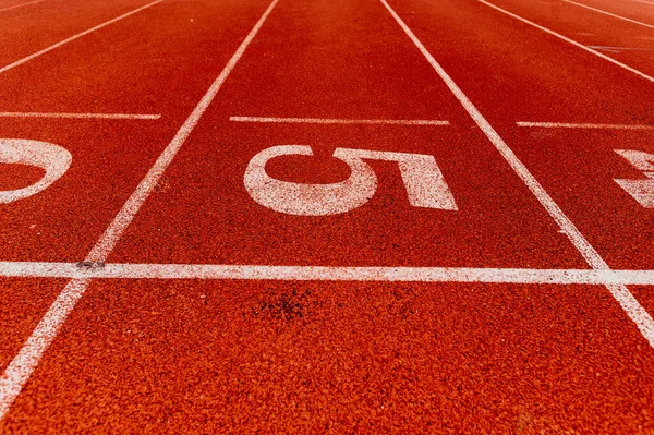 Red treadmill at the stadium. Sport concept