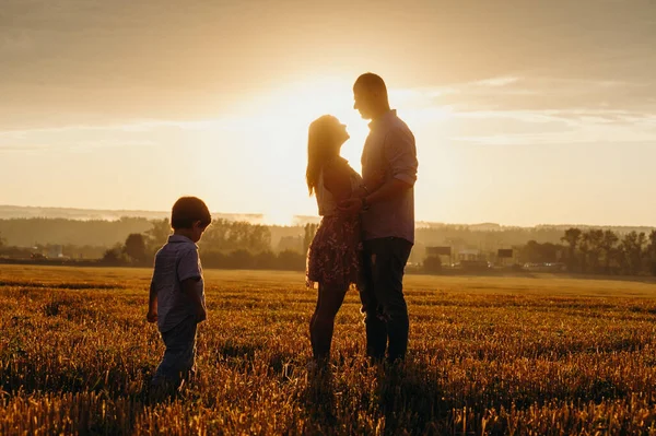 幸せな家庭の概念 ママとパパと息子よ 太陽のフィールドの夜の光の中で幸せな家族 お母さん お父さんと赤ちゃんの息子幸せな散歩日没で 両親は赤ちゃんを保持します — ストック写真