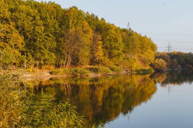 Sonbahar ormanı göl manzaralı. Kızıl sonbahar ağaçlı göl