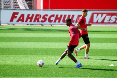 LEVERKUSEN, GERMANY - 10 Eylül 2025: Christian Kofane, Patrik Schick - Bayer 04 Leverkusen Bayena 'da.
