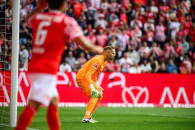 Mainz, Almanya - 13 Eylül 2025: Peter Gulacsi - Bundesliga maçı 1. FSV Mainz 05, Mewa Arena 'da RB Leipzig' e karşı. 