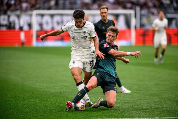 MOENCHENGLADBACH, GERMANY - 14 Eylül 2025: Giovanni Reyna, Jens Stage - Bundesliga Borussia Moenchengladbach-SV Werder Bremen maçı Borussia Park 'ta.