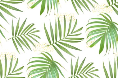 Vektör palmiye yaprak. Tropikal yaprak seamless modeli.