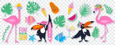 Vektör yaz ayarla pembe flamingo, monstera, tropikal yaprak ile