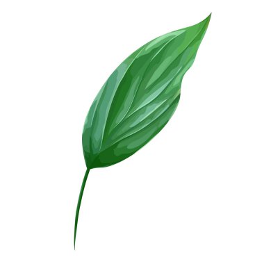 Vektör yeşil yaprak üzerinde beyaz izole. Gerçekçi yeşillik.