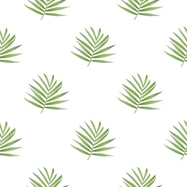 Vektör palmiye yaprak. Tropikal yaprak seamless modeli.